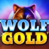 Wolf Gold